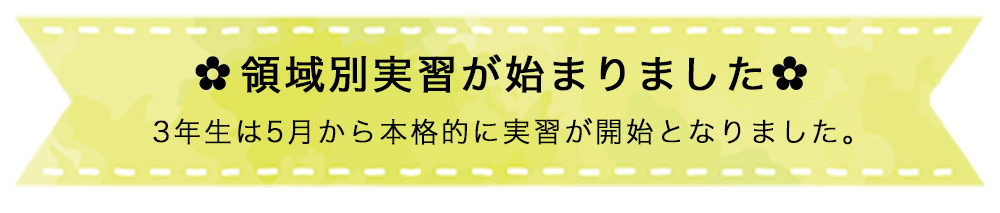 領域別実習が始まりました